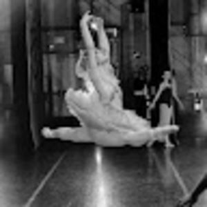 Meet your Posher, Sophia rose